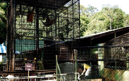 マタン野生動物センター 3