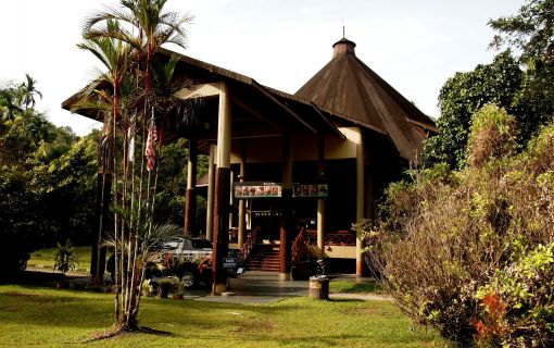 マタン野生動物センター 2