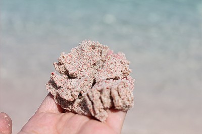 ピンクのさんごが削られて作られたビーチの砂