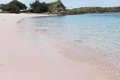 透明度の高いピンクビーチでシュノーケリング三昧