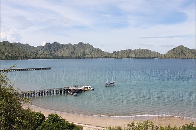 恐竜時代にタイムトリップしたかのような感覚になります