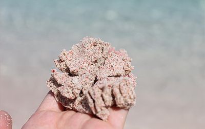 ピンクのさんごが削られて作られたビーチの砂