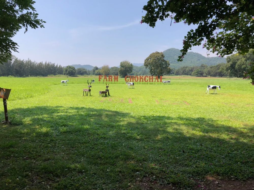 チョクチャイファーム