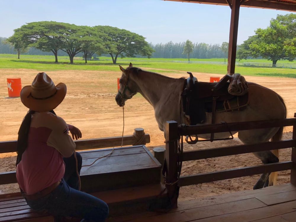 チョクチャイファーム