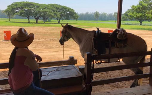 チョクチャイファーム