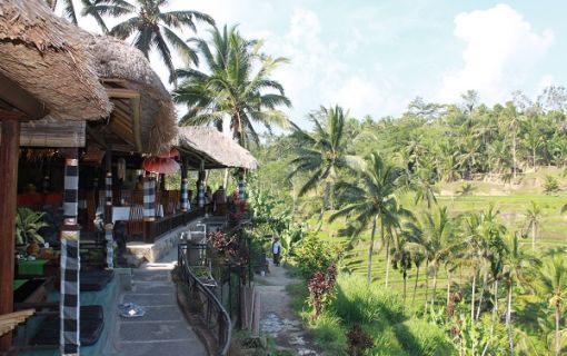 ウブド＆タナロット寺院サンセット観光 2