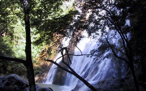 【1日】サムイ島内観光ツアー 4