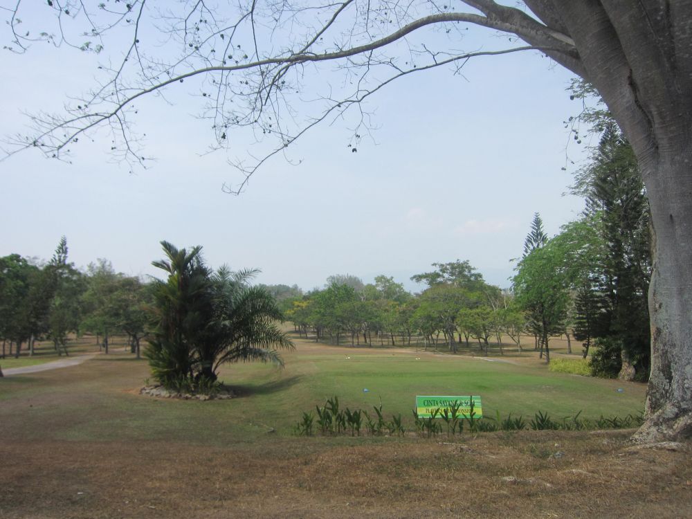 ティーイングボックス