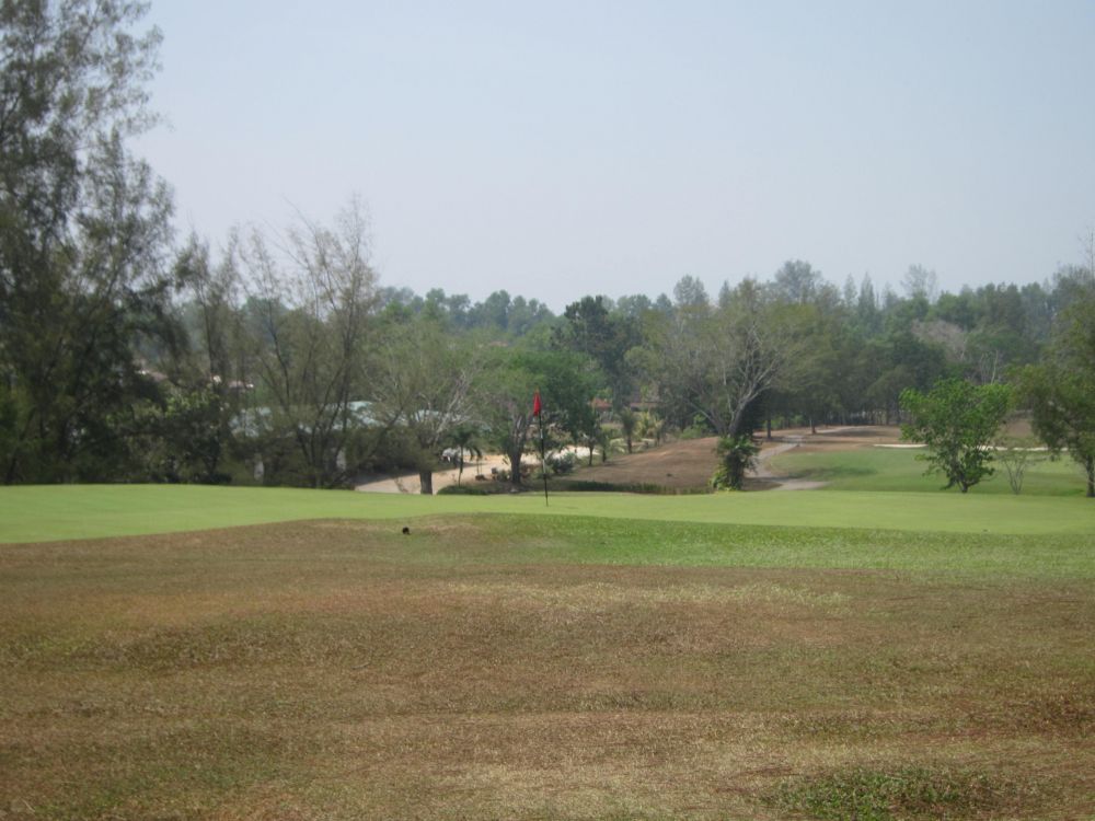 パッティング グリーン