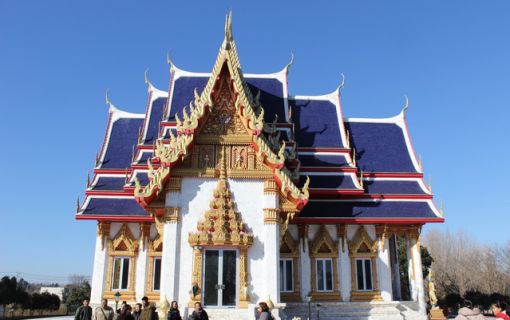 ベーシックプラン【東京発】タイ人と行くDEEP観光~ワットパクナム日本別院~