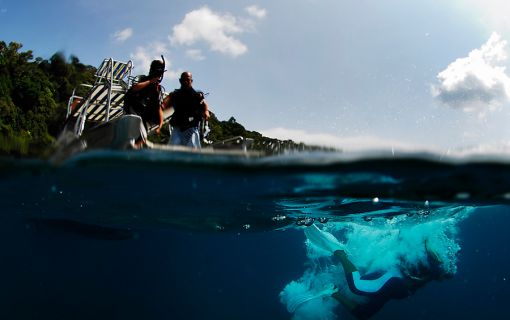 【ランカウイ発】(ファンダイビング)マレー半島西海岸で一番海が美しいといわれているパヤ島ツアー<1日観光/英語ガイド>