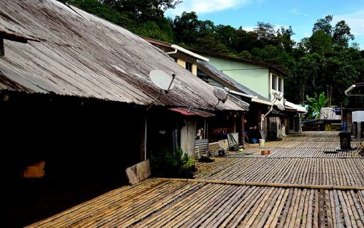 ビダユ族のロングハウス(半日) 2