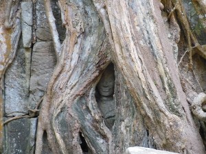 バンテアイスレイ&タプロム半日観光（午前・午後発） 2