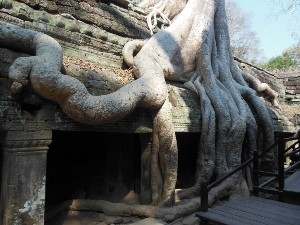 バンテアイスレイ&タプロム半日観光（午前・午後発） 1