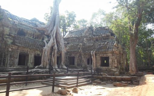 バンテアイスレイ&タプロム半日観光（午前・午後発） 3