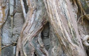 バンテアイスレイ&タプロム半日観光（午前・午後発） 2