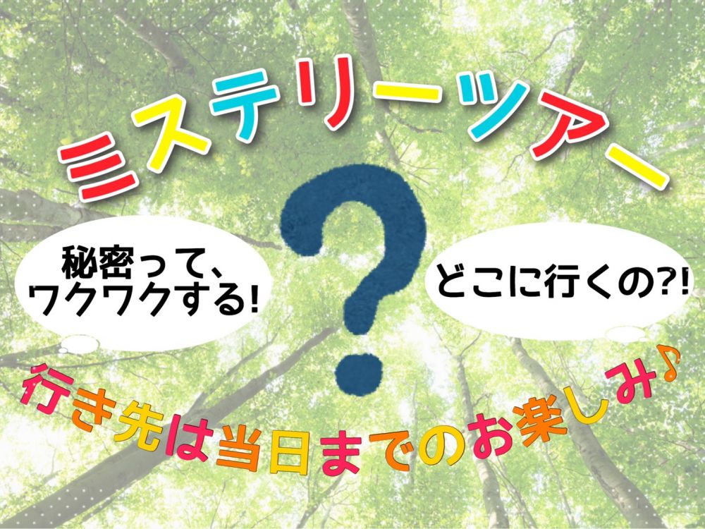 【2020年/宿泊ミステリーツアー】ウェンディー厳選ホテルに泊まる1泊2日/2泊3日 - バンコクご自宅からの送迎付 1