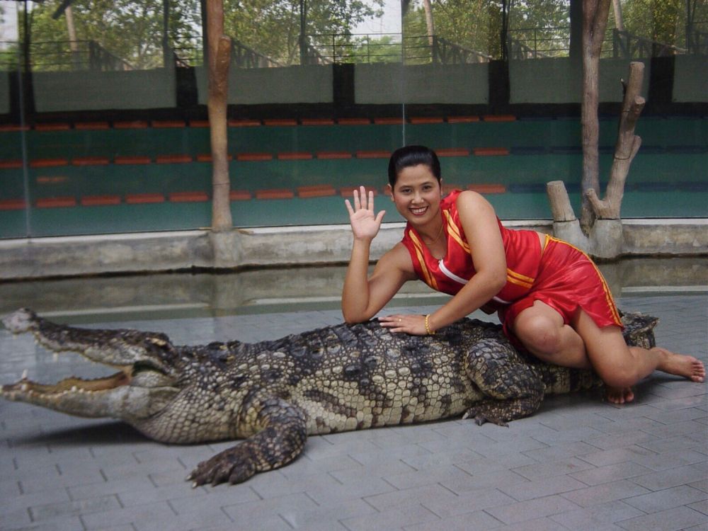 【特価】シラチャー・タイガーズー (バンコク発) 7