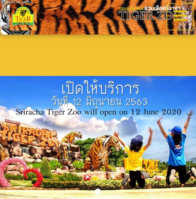 再オープン記念キャンペーン！！6/12～30 さらに値下げ！《タイ語ドライバー送迎付き・車1台2000THB・6名様まで》シラチャータイガーズー (バンコク発) 2