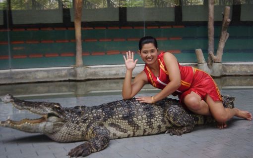 【特価】シラチャー・タイガーズー (バンコク発) 7