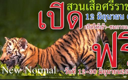 再オープン記念キャンペーン！！6/12～30 さらに値下げ！《タイ語ドライバー送迎付き・車1台2000THB・6名様まで》シラチャータイガーズー (バンコク発)