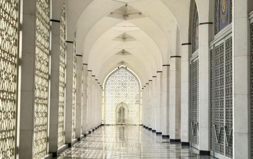 ピンクモスク・ブルーモスク・バトゥ洞窟｜人気観光地制覇ツアー！＜1日観光＞（クアラルンプール発） 6